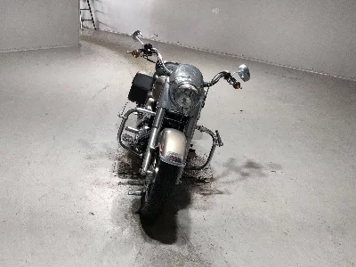 Harley-Davidson HARLEY FLHRS1450