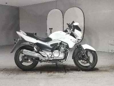 Suzuki GSR250