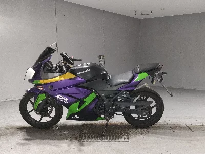 Kawasaki NINJA250R