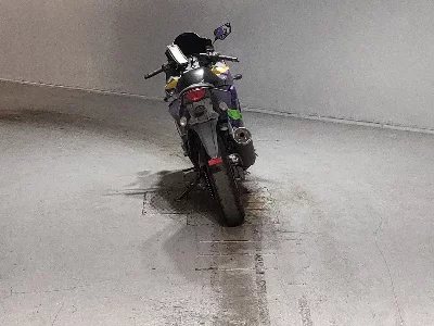 Kawasaki NINJA250R