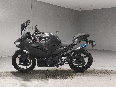 Kawasaki NINJA250