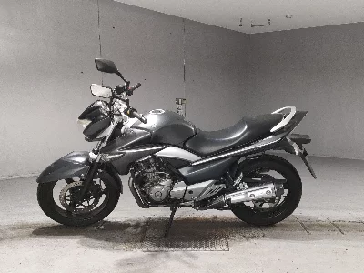 Suzuki GSR250