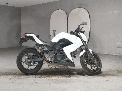 Kawasaki Z250