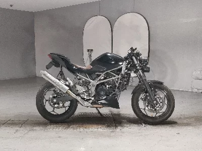 Kawasaki Z250SL
