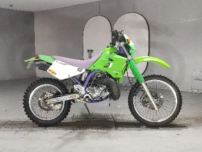 Kawasaki KDX220SR