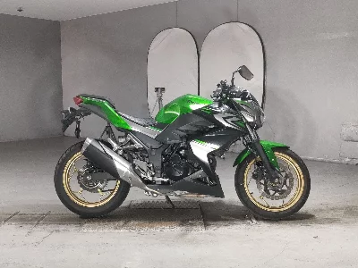 Kawasaki Z250