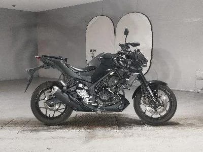 Yamaha MT-25