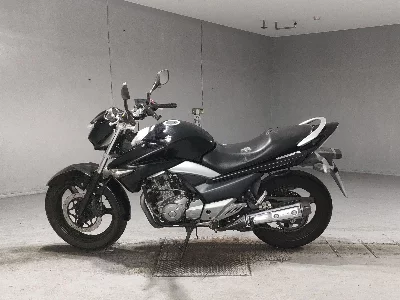 Suzuki GSR250