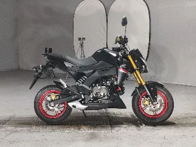 Kawasaki Z125 PRO 