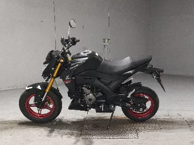 Kawasaki Z125 PRO 