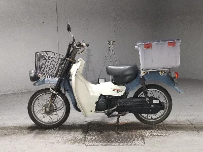 Suzuki BIRDIE50