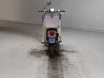Suzuki BIRDIE50