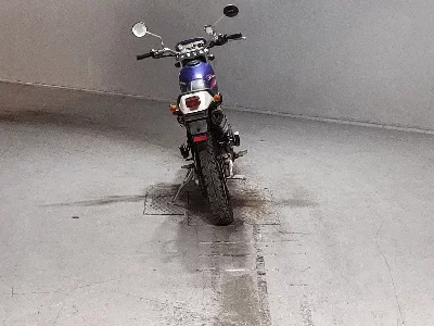 Kawasaki SUPER SHERPA