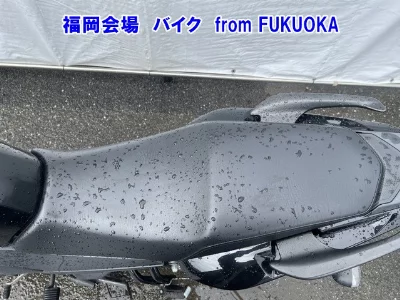 Other YS125 FEATHER