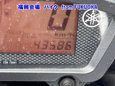 Other YS125 FEATHER