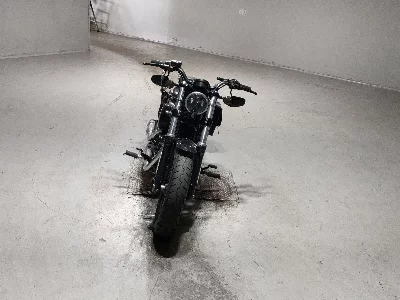 Harley-Davidson HARLEY XL1200X