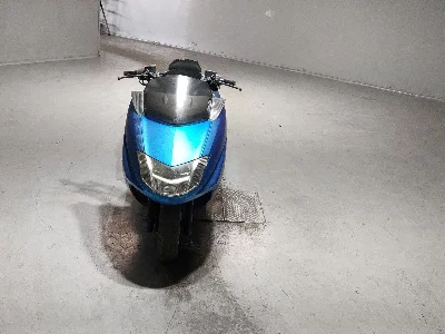 Yamaha MAXAM250