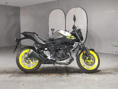 Yamaha YZF-R25
