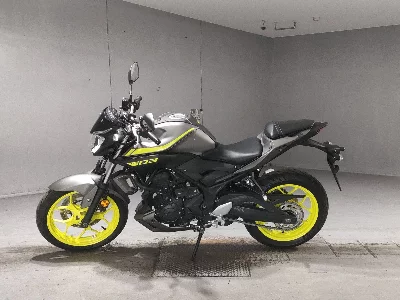 Yamaha YZF-R25