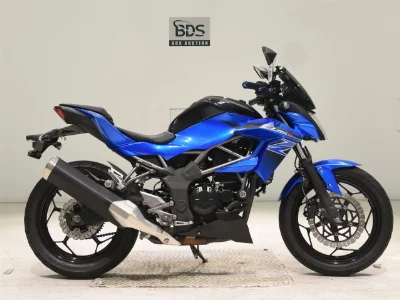 Kawasaki Z250SL