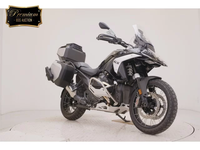 Other BMWR1300GS  с аукциона в Японии