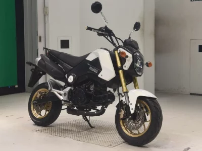 Honda GU ROM