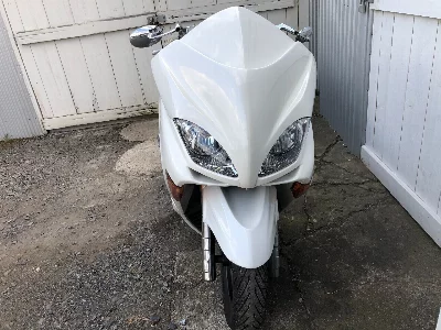 Honda FORZA Z