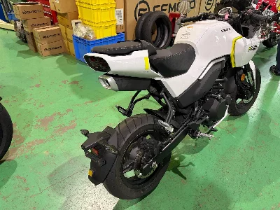 Other CFMOTO XO-1 PAPIO