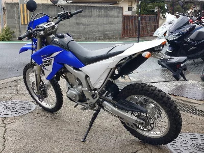 Yamaha WR250R