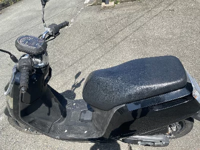 Honda DUNK