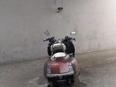 Yamaha MAXAM250