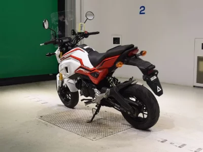 Honda GU ROM