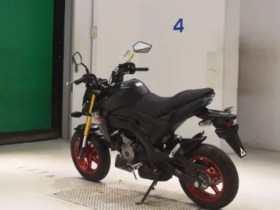 Kawasaki Z125PRO