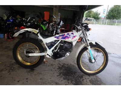 Honda TLM200