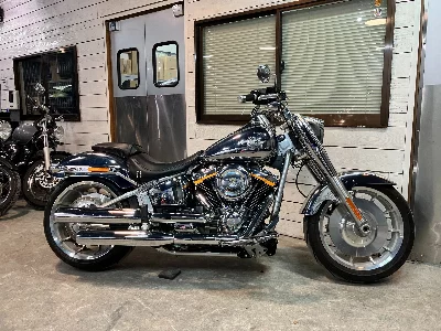 Harley-Davidson HARLEY FLSTFI