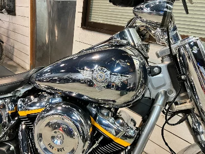 Harley-Davidson HARLEY FLSTFI