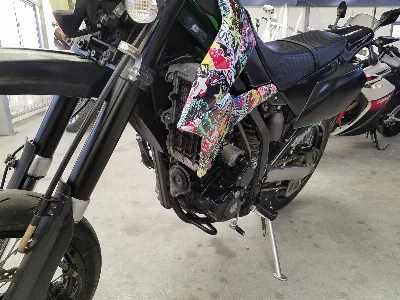 Kawasaki D-TRACKER X