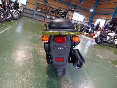 Honda PS250