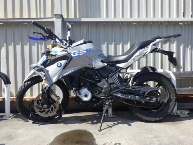 Other BMWG310GS 2019