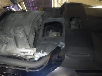 Suzuki ADDRESS110-2