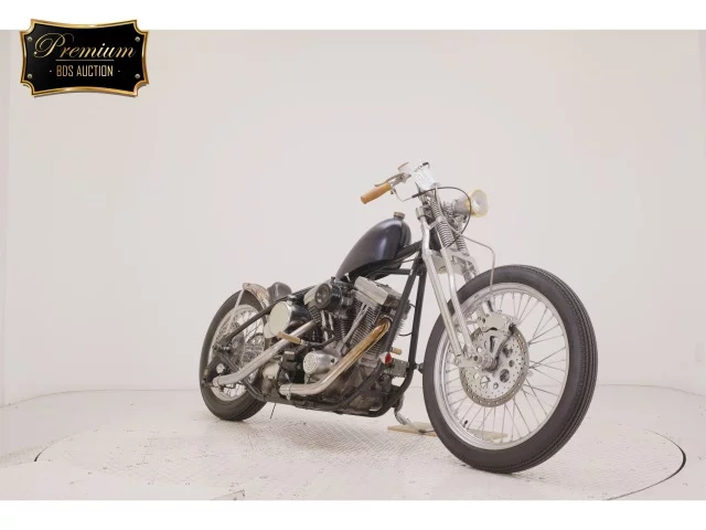 Other KIT BIKE 1330  с аукциона в Японии