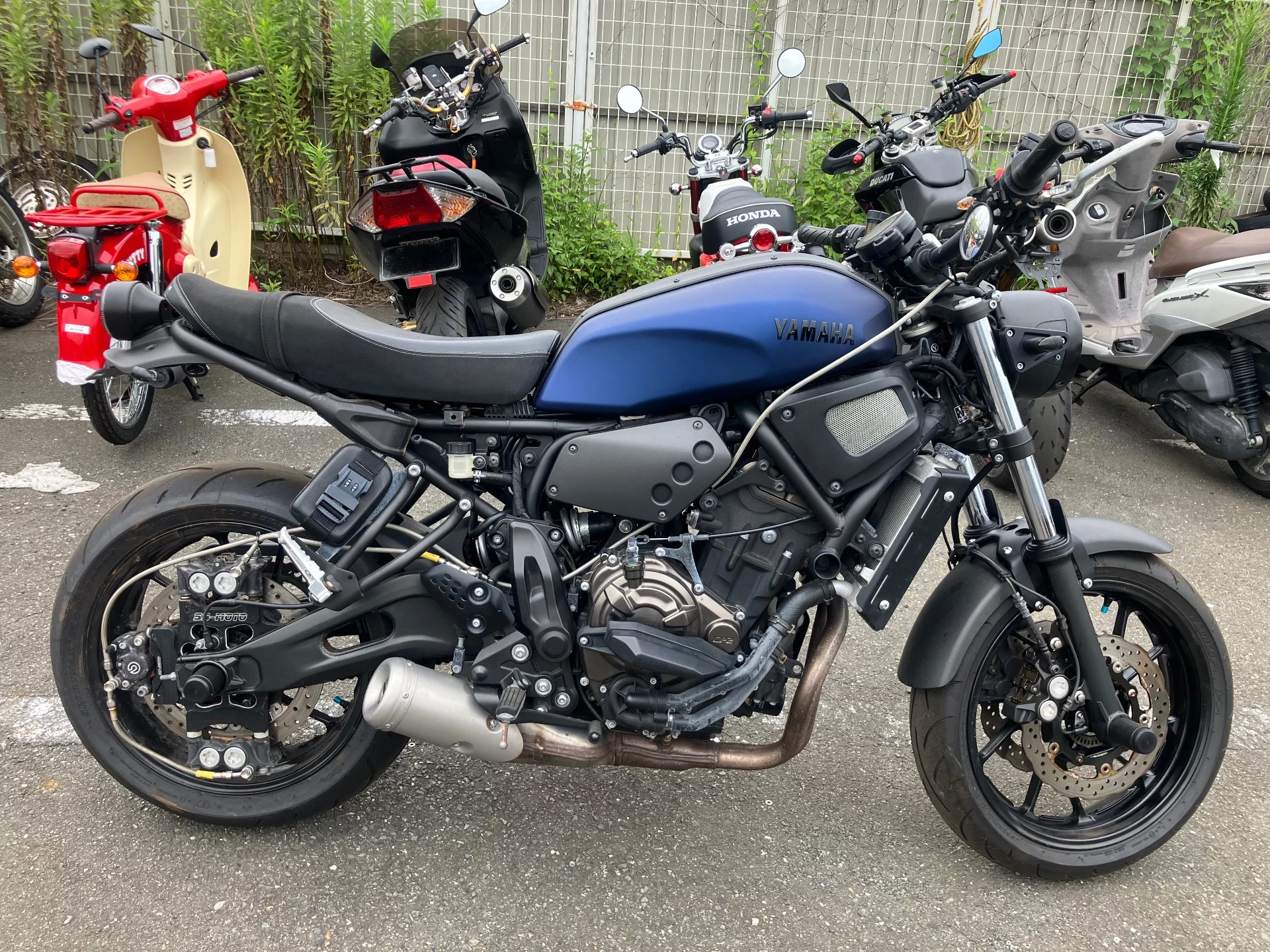 Yamaha XSR700 2019