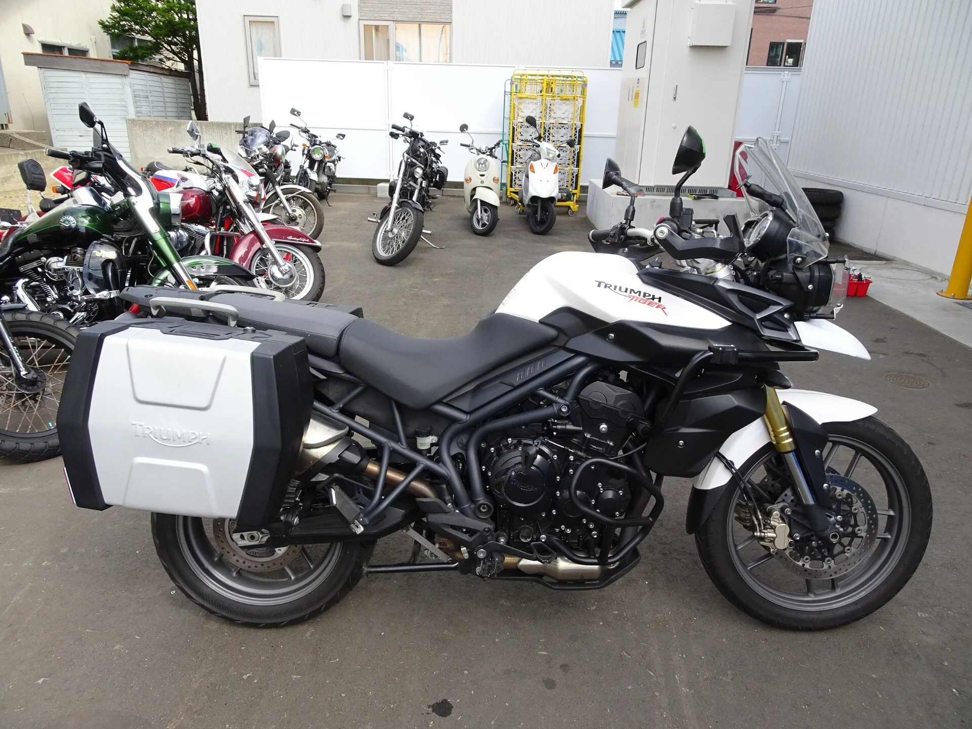 Triumph TRIUMPH TIGER 800  с аукциона в Японии