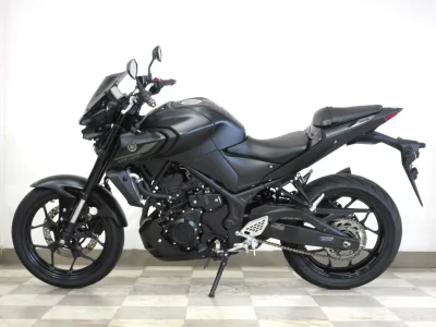 Yamaha MT-25