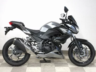 Kawasaki Z250ABS