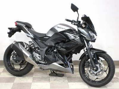 Kawasaki Z250ABS