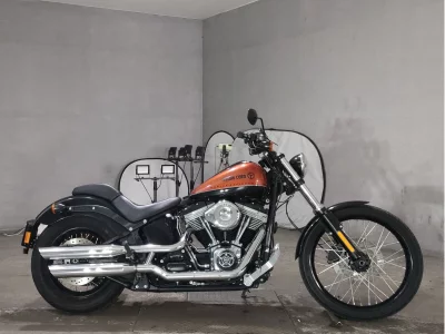 Harley-Davidson HARLEY FXS1580
