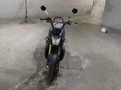 Honda ZOOMERX