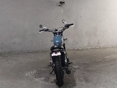 Kawasaki 250TR