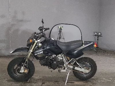Kawasaki KSR110
